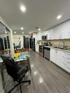 Walkout Bachelor/Studio HWY 7 & Dufferin (Thornhill)