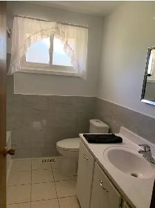 4 Bedroom House for Rent in Waterloo - Photo 7