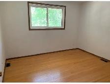 4 Bedroom House for Rent in Waterloo - Photo 8