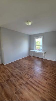 197 Britain St — 1 Bedroom Apartment in Uptown! - Photo 6