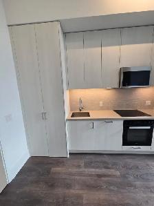 NEW CONDO 1 BED   DEN, 11-FT CEILINGS, PARKING  LOCKER $2400/mth - Photo 8