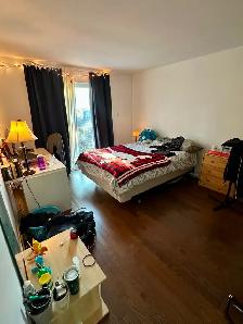 Appartement 3 chambres/3-bedroom apartment in Saint-Henri - Photo 8