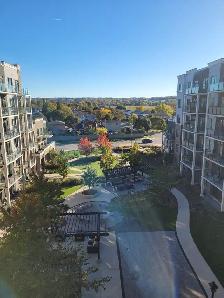1 Bedroom   Den $1899 Beamsville - Photo 6