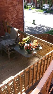 $625 - Cozy Basment &  2nd level - Photo 6