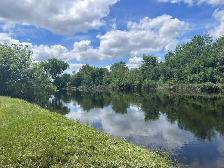 Riverfront Property: Elmsdale:   Nova Scotia - Photo 5