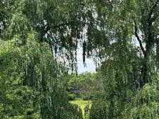 Riverfront Property: Elmsdale:   Nova Scotia - Photo 18