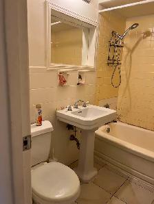 LARGE BACHELOR UNIT - Photo 6