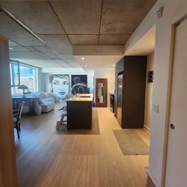 Griffintown Moderne neuf Loft/ studio transfert de bail