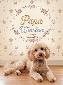 2 Female Mini Poodle Mix - Photo 9