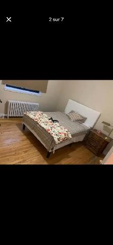 Roommates Room rent CDN Chambre à louer colocation - Photo 2