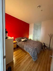 CONDO À LOUER QUARTIER MONTCALM - Photo 7