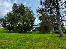 River Front Home: Elmsdale NS - Photo 2