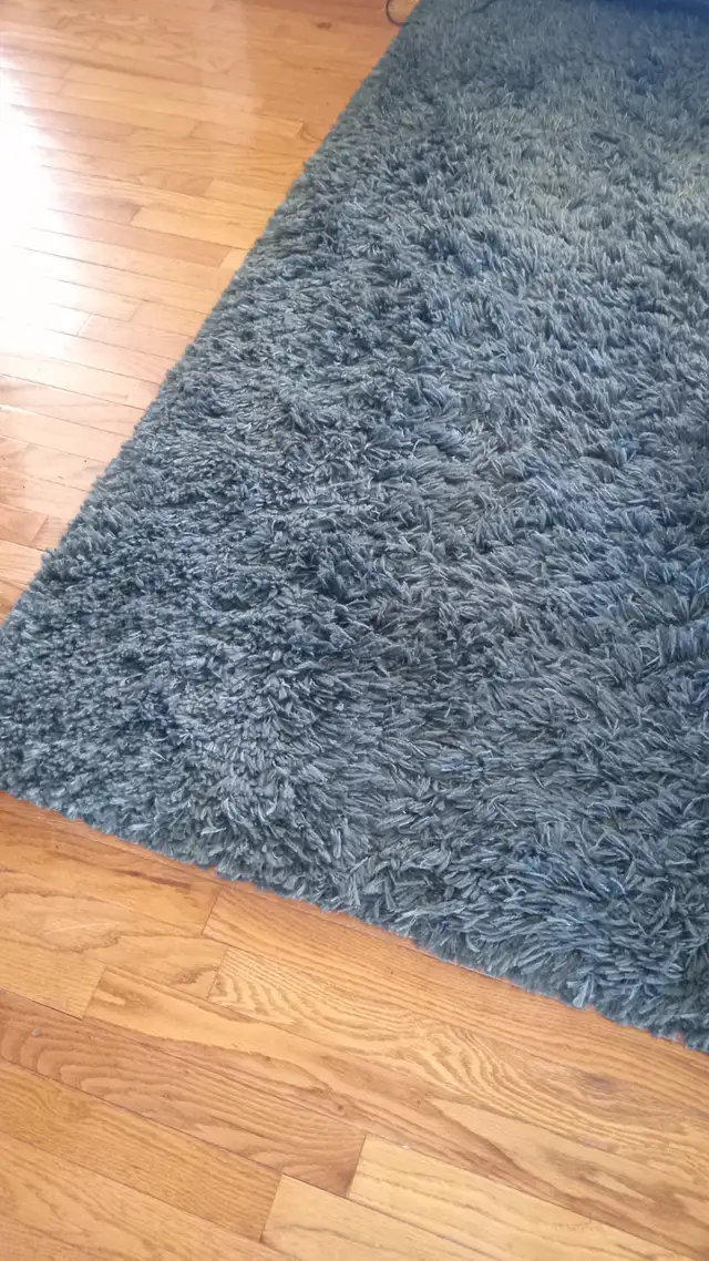 8' X 11.5' gray / blue shag carpet. Asking $80