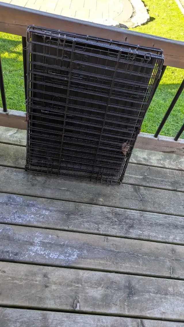 dog crates