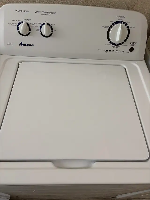 Amanda Washer