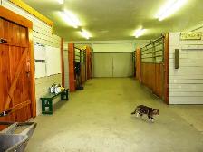 Horse Creek Stables - Boarding North of Cochrane - Photo 2
