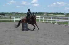 Horse Creek Stables - Boarding North of Cochrane - Photo 5