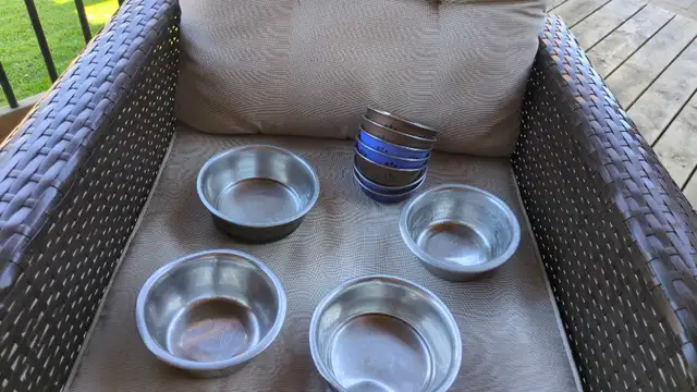 dog bowls and puppy bowls