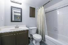 1 bed 1 bath condo for rent - Photo 9