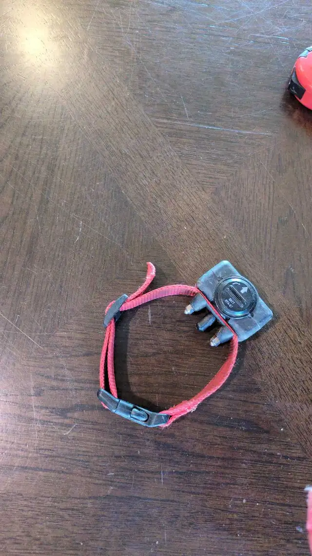 bark collar
