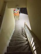 Shared Basement Room for 400 GIRLS ONLY
