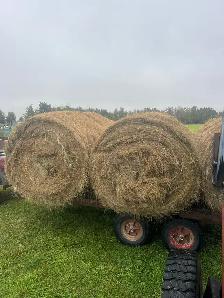 Grass hay - Photo 2