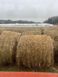 Grass hay - Photo 3