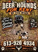 Deer Hounds available