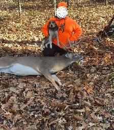 Deer Hounds available - Photo 3