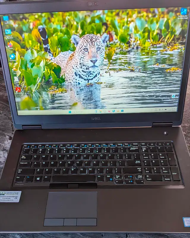 Portable Gaming ou Travail Intense DELL Precision 7740