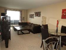 Point-of-View 1 Bedroom  Apartment Available December 1st - Photo 2
