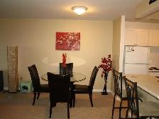 Point-of-View 1 Bedroom  Apartment Available December 1st - Photo 3