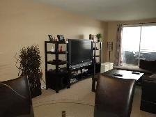 Point-of-View 1 Bedroom  Apartment Available December 1st - Photo 4