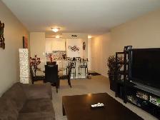 Point-of-View 1 Bedroom  Apartment Available December 1st - Photo 5