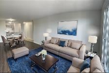 Point-of-View 1 Bedroom  Apartment Available December 1st - Photo 12
