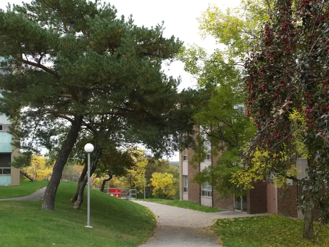 3 Bedroom Zulich Managed Apartment Available December 1st