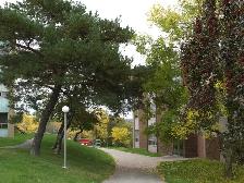 3 Bedroom Zulich Managed Apartment Available December 1st