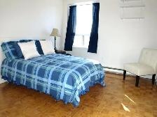 3 Bedroom Zulich Managed Apartment Available December 1st - Photo 7