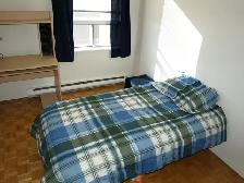 3 Bedroom Zulich Managed Apartment Available December 1st - Photo 9