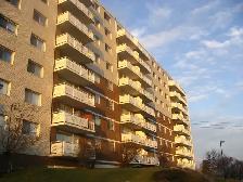 Casadolfo 1 Bedroom  Apartment Available December 1st - Photo 2