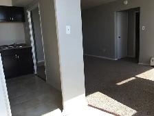 Casadolfo 1 Bedroom  Apartment Available December 1st - Photo 5
