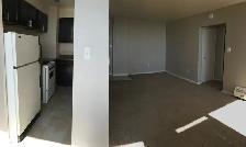 Casadolfo 1 Bedroom  Apartment Available December 1st - Photo 7