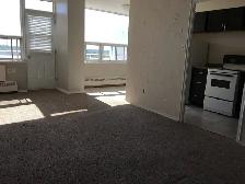 Casadolfo 1 Bedroom  Apartment Available December 1st - Photo 8