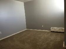 Casadolfo 1 Bedroom  Apartment Available December 1st - Photo 9