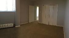 Casadolfo 1 Bedroom  Apartment Available December 1st - Photo 10