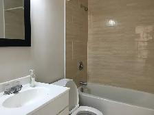 Casadolfo 1 Bedroom  Apartment Available December 1st - Photo 11