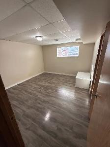 1 bedroom with big living room basement for rent