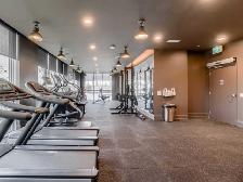 1 Bed   Den Condo for For Rent in Milton, Ontario! - Photo 4
