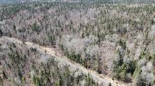 34 Acres of Land Near Larder Lake, ON Northern Ontario! - Photo 2