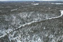 34 Acres of Land Near Larder Lake, ON Northern Ontario! - Photo 3